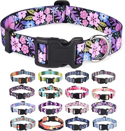 Julius-K9, 16IDC-DPN-M, IDC Powerharness, dog harness, Size: Mini, Dark Pink