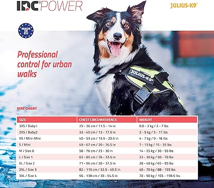 Julius-K9, 16IDC-DPN-M, IDC Powerharness, dog harness, Size: Mini, Dark Pink