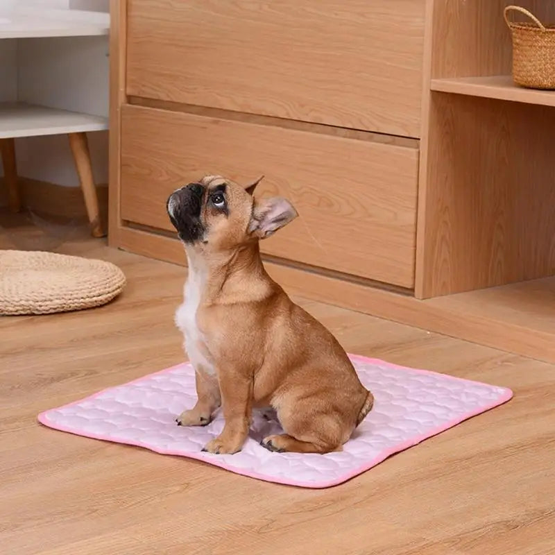 Dog Mat Cooling Pad Mat