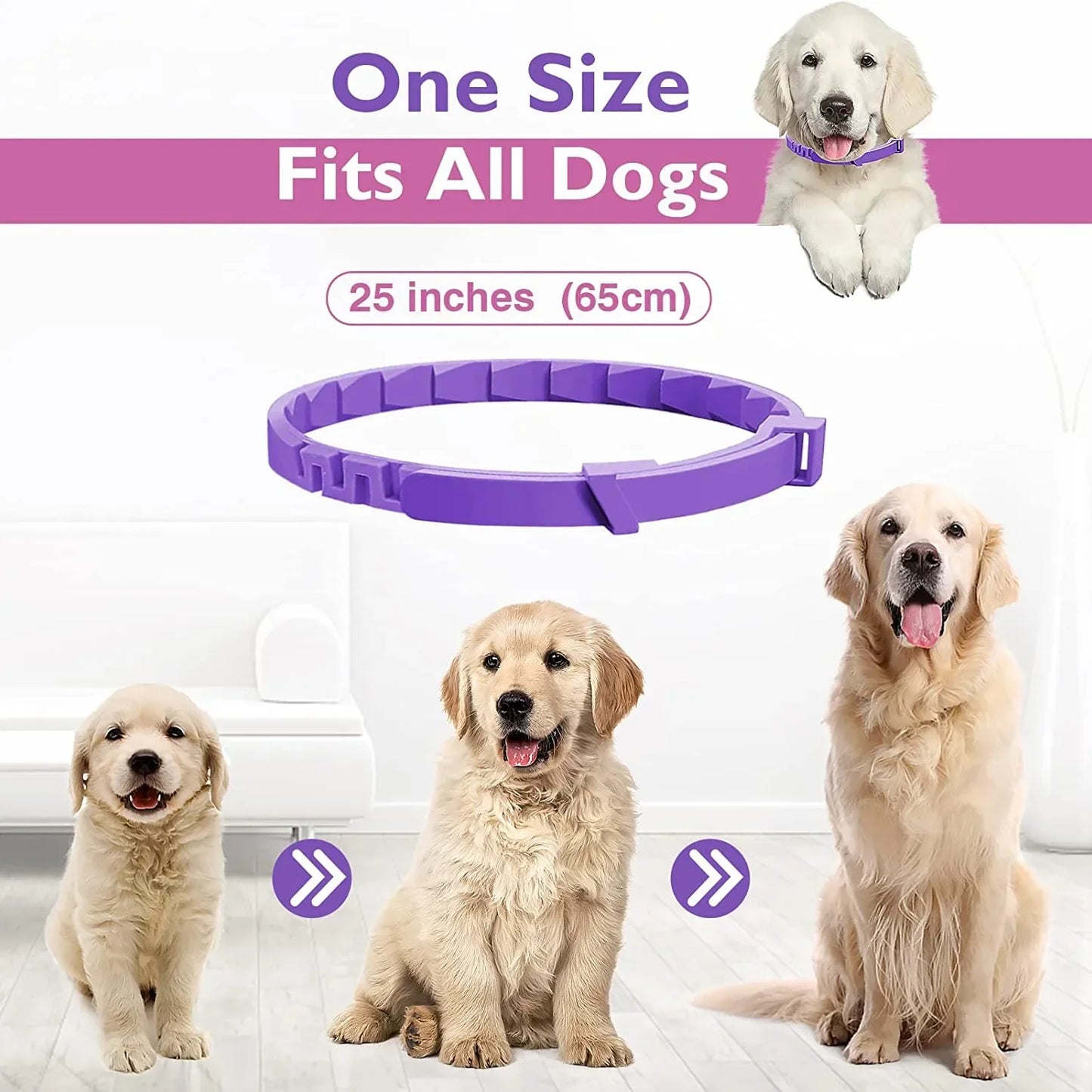 Pet Cats and Dog Flea And Tick Collar Pack of 3