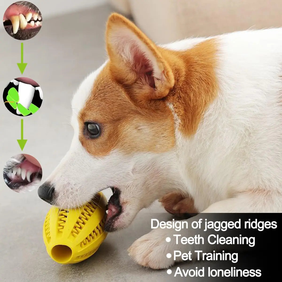 Pet Dog Chew Bouncy Ball Toy