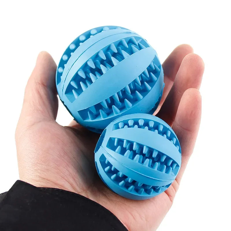 Pet Dog Chew Bouncy Ball Toy