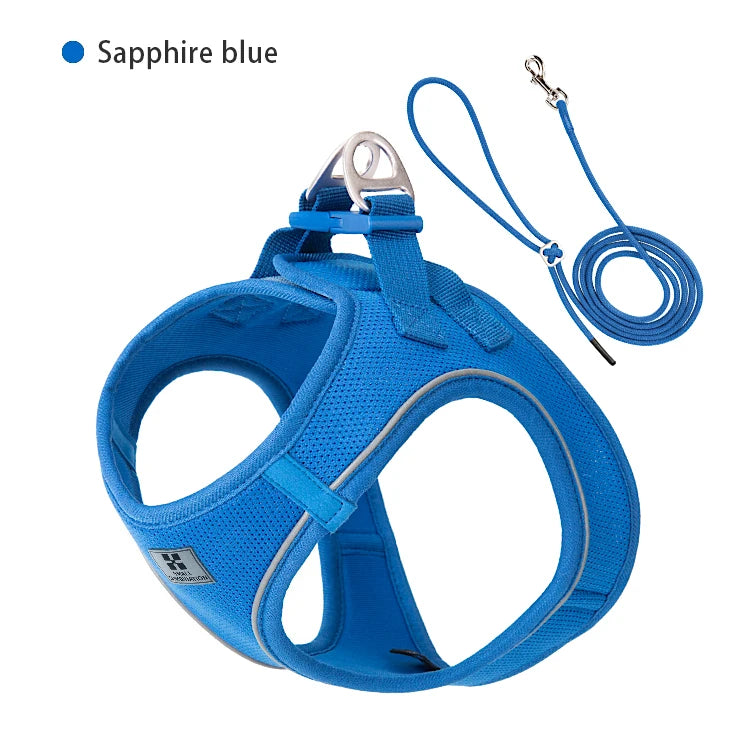 Dog Harness Leash for Walking