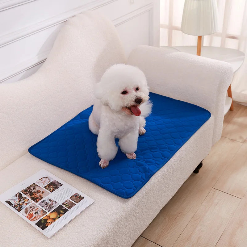 Dog Pee Pad Blanket Absorbent Diaper