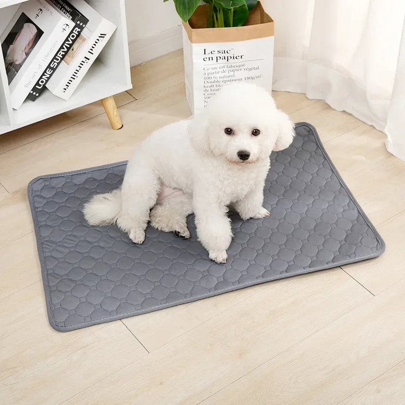 Dog Pee Pad Blanket Absorbent Diaper