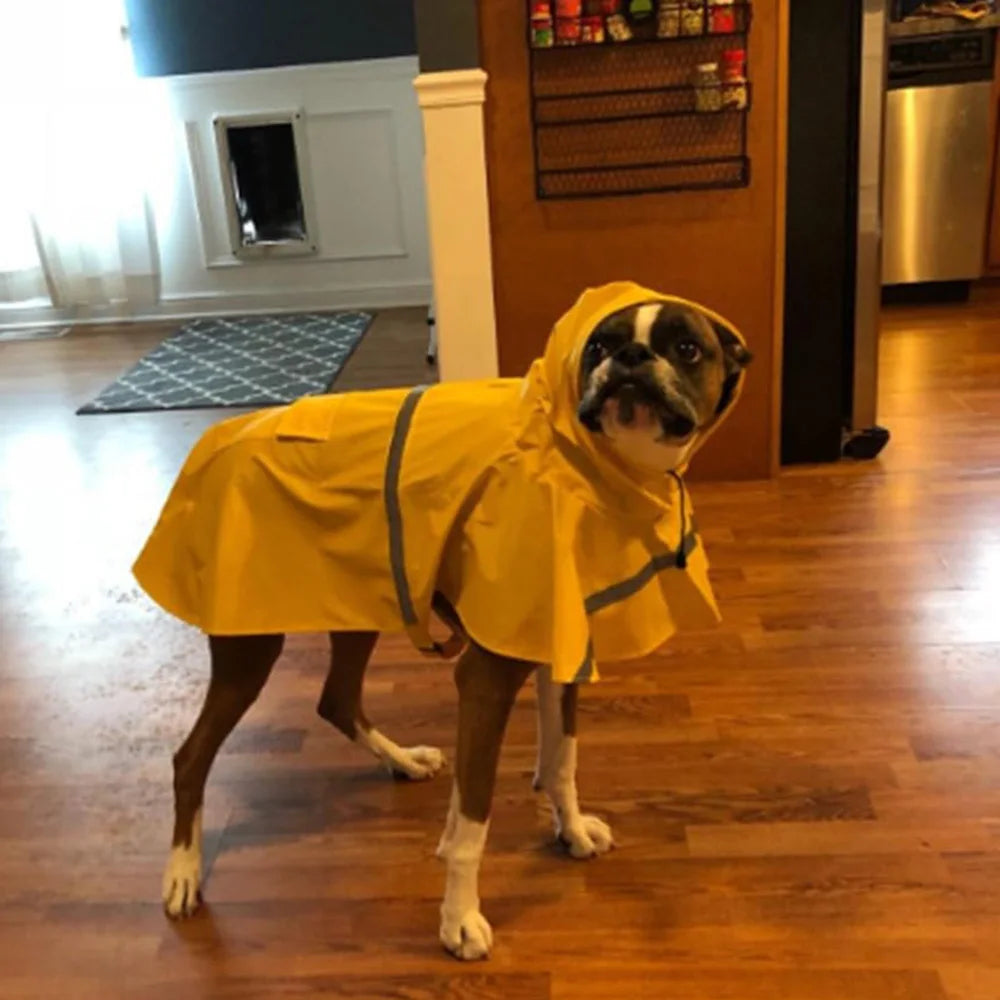 Fashionable Pet Hooded Raincoat