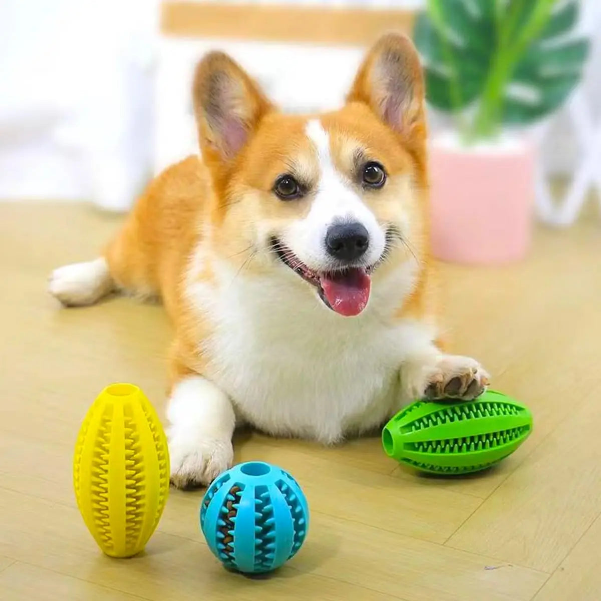 Pet Dog Chew Bouncy Ball Toy
