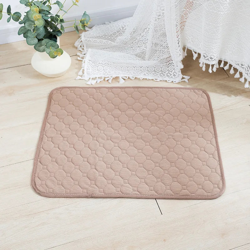 Dog Pee Pad Blanket Absorbent Diaper