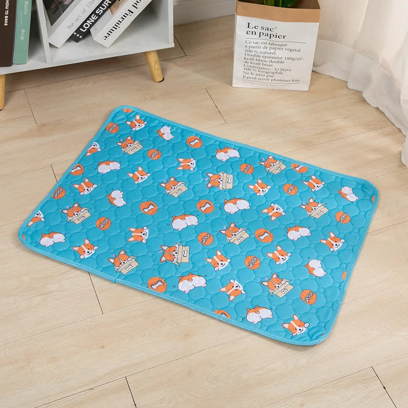 Dog Pee Pad Blanket Absorbent Diaper
