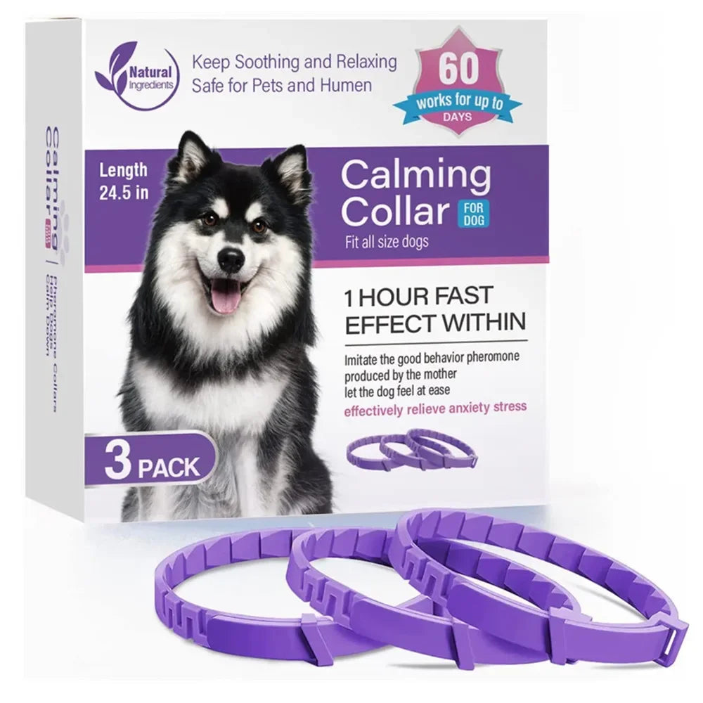 Pet Cats and Dog Flea And Tick Collar Pack of 3