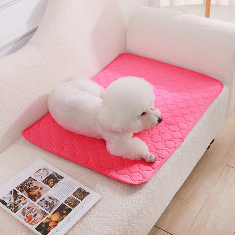 Dog Pee Pad Blanket Absorbent Diaper