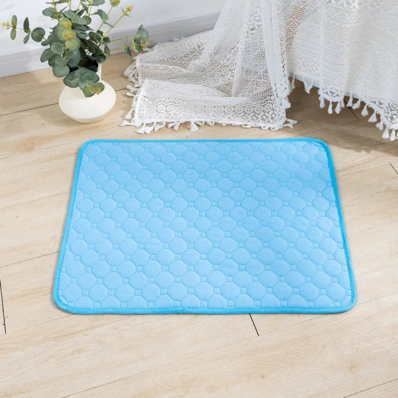 Dog Pee Pad Blanket Absorbent Diaper