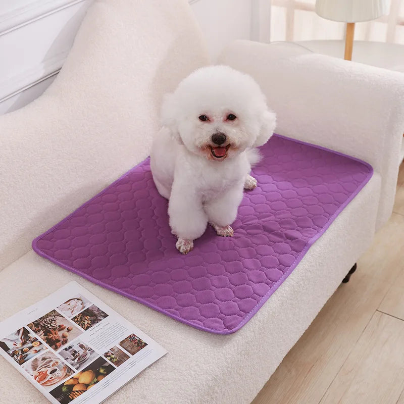 Dog Pee Pad Blanket Absorbent Diaper