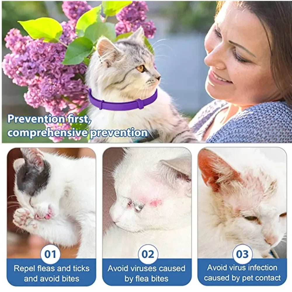 Pet Cats and Dog Flea And Tick Collar Pack of 3