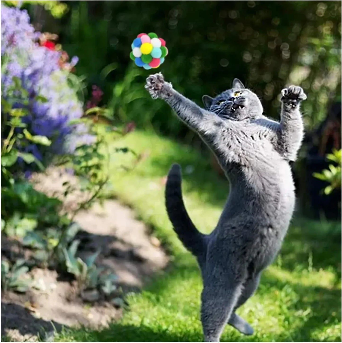 Cat Toys Balls with Bells