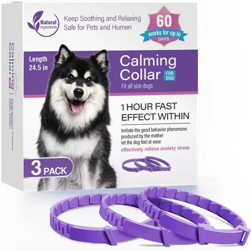 Pet Cats and Dog Flea And Tick Collar Pack of 3