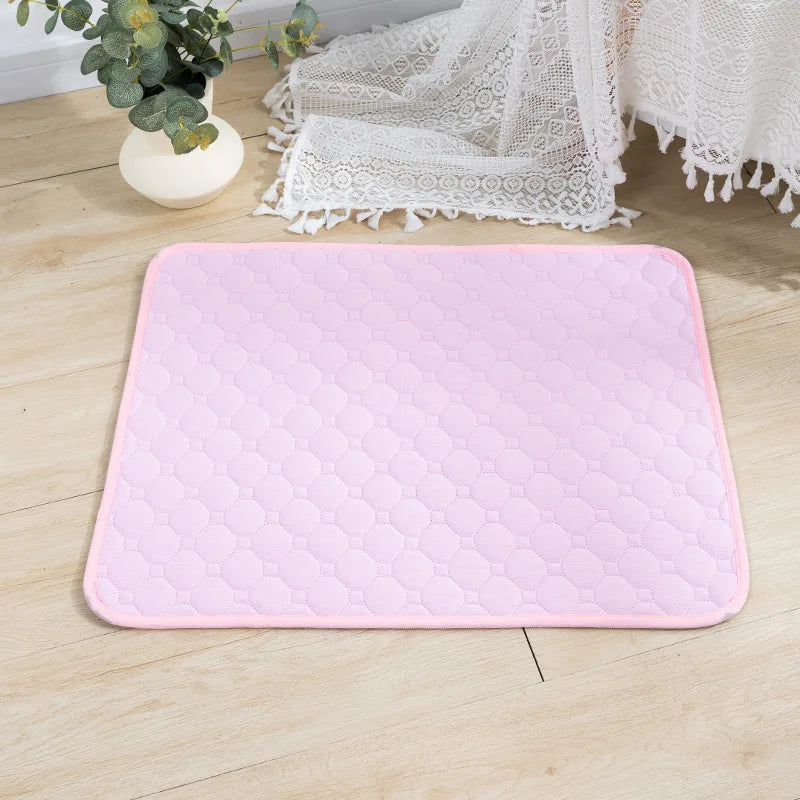 Dog Pee Pad Blanket Absorbent Diaper