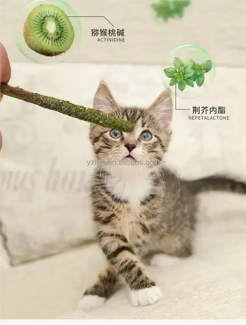 6PCs Natural Cat Sticks Mint Scratching