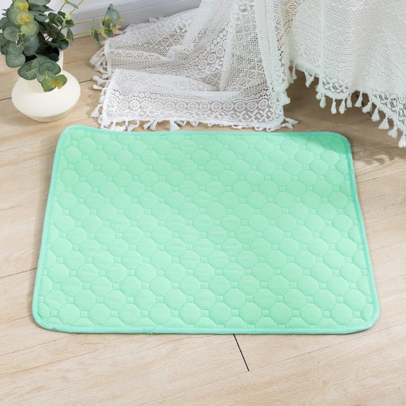 Dog Pee Pad Blanket Absorbent Diaper