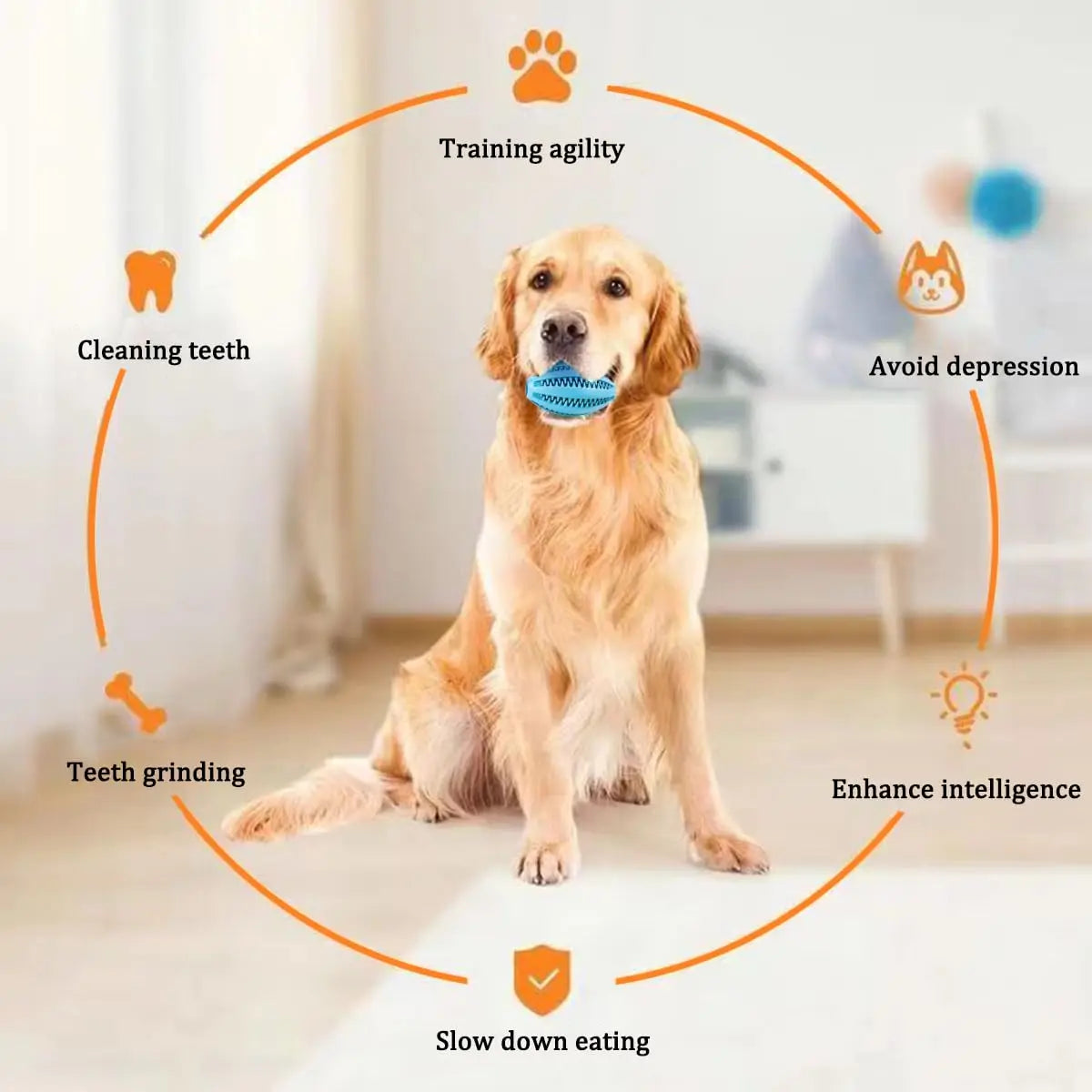 Pet Dog Chew Bouncy Ball Toy