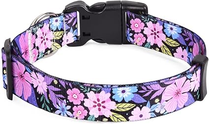 Julius-K9, 16IDC-DPN-M, IDC Powerharness, dog harness, Size: Mini, Dark Pink