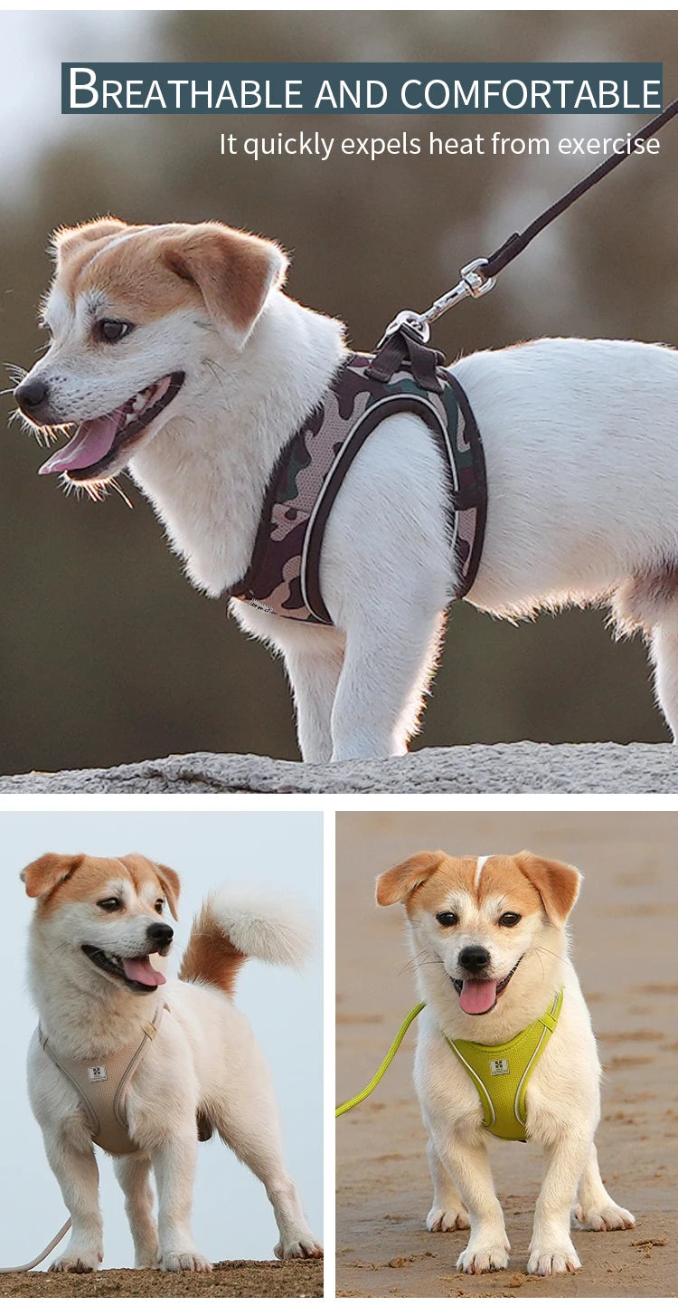 Dog Harness Leash for Walking