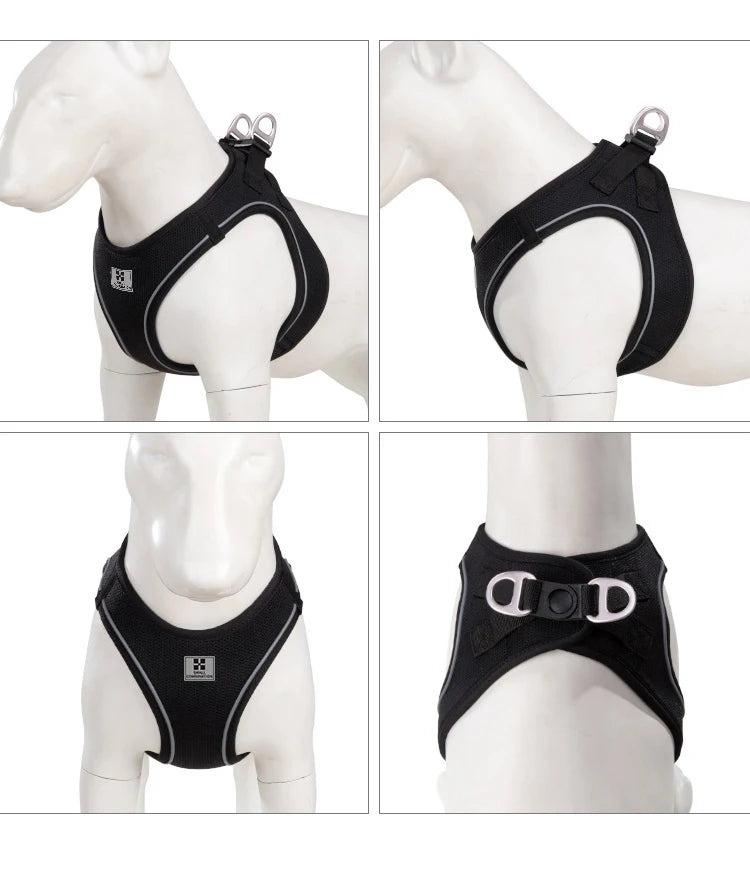 Dog Harness Leash for Walking