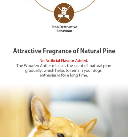 Dog Chew Toys Real Wooden Deer