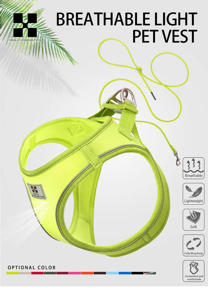 Dog Harness Leash for Walking