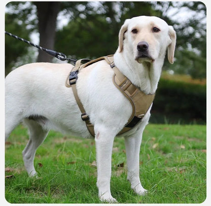 Dog Harness with Airtag Holder and Leash