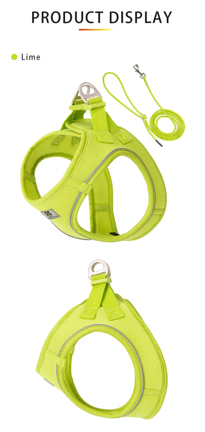 Dog Harness Leash for Walking