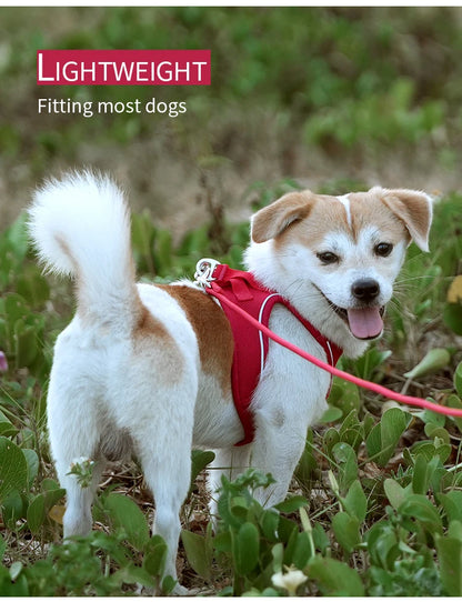Dog Harness Leash for Walking