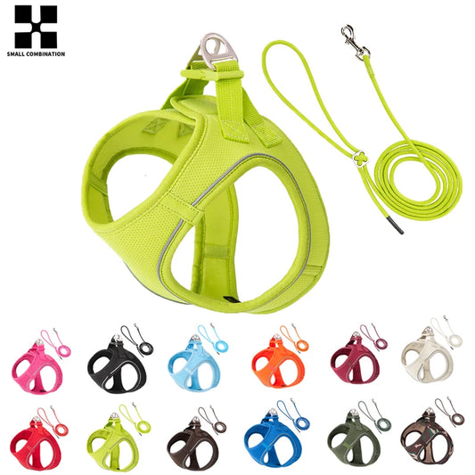 Dog Harness Leash for Walking