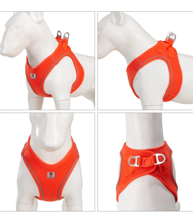 Dog Harness Leash for Walking
