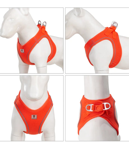 Dog Harness Leash for Walking