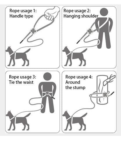 Dog Harness Leash for Walking