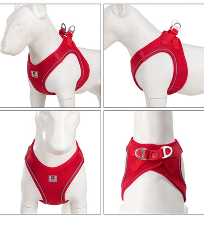 Dog Harness Leash for Walking