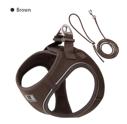 Dog Harness Leash for Walking