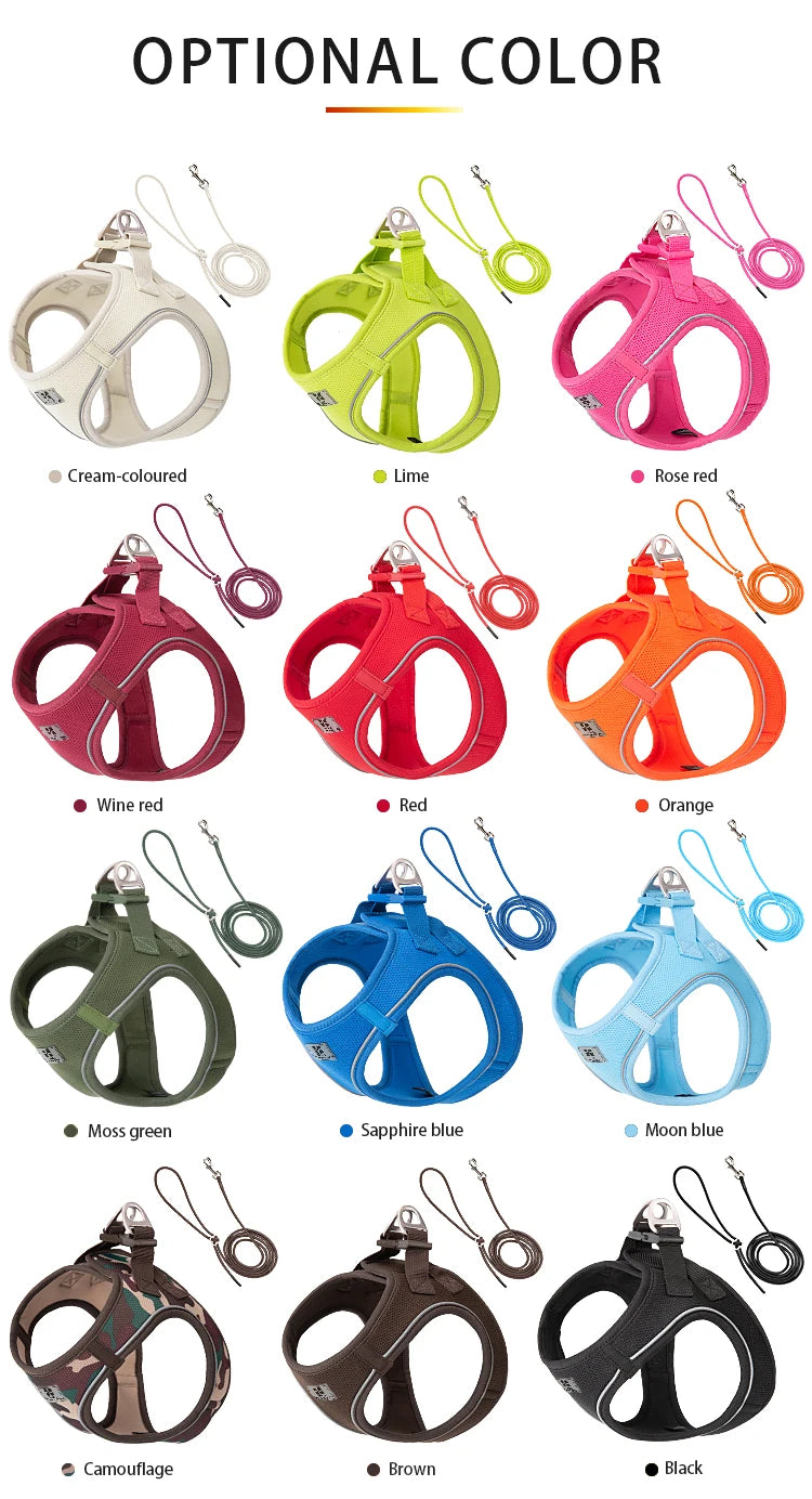 Dog Harness Leash for Walking