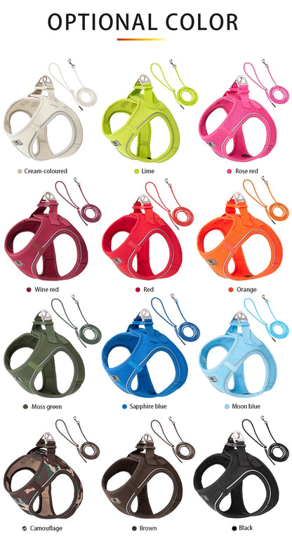 Dog Harness Leash for Walking