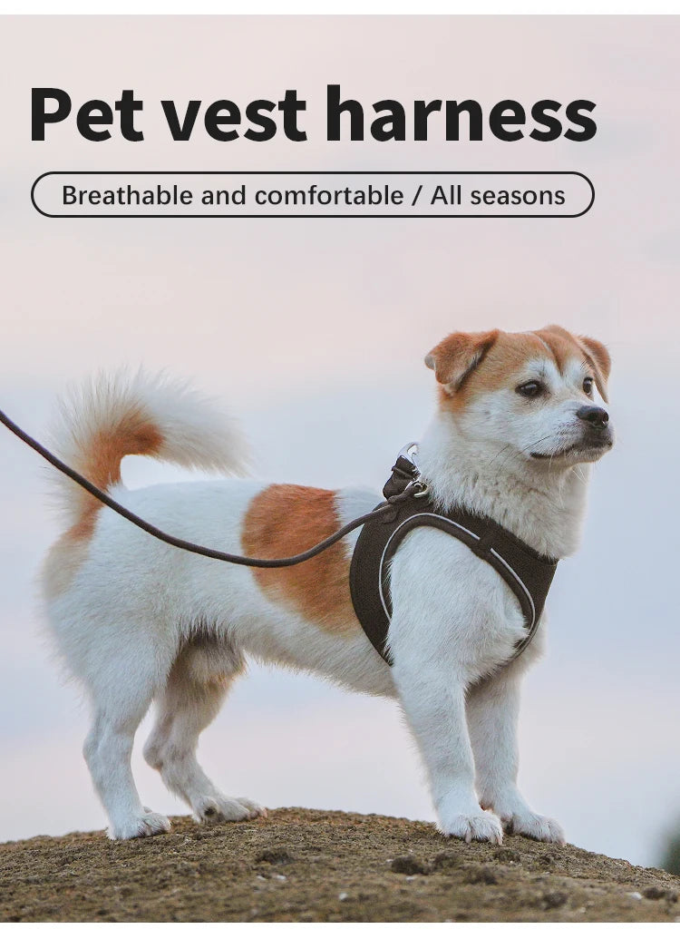 Dog Harness Leash for Walking