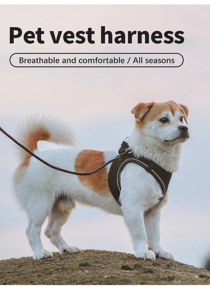 Dog Harness Leash for Walking