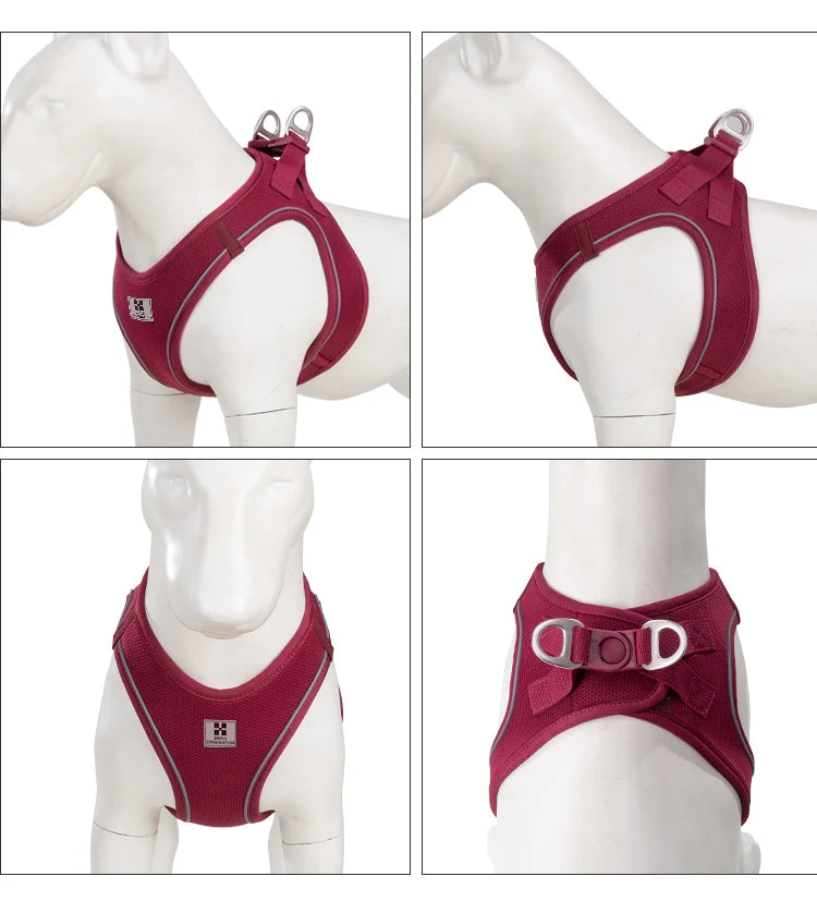 Dog Harness Leash for Walking