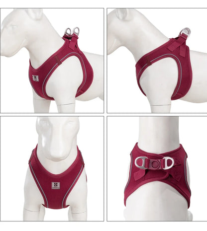 Dog Harness Leash for Walking