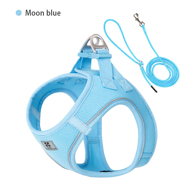 Dog Harness Leash for Walking