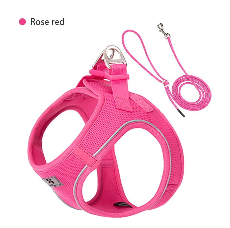 Dog Harness Leash for Walking