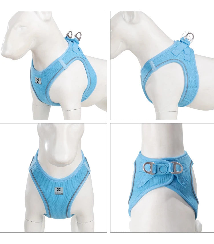Dog Harness Leash for Walking