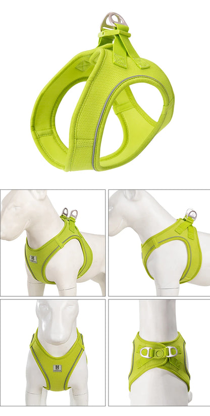 Dog Harness Leash for Walking