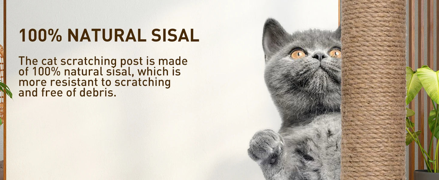 Cat Scratch Board Toy
