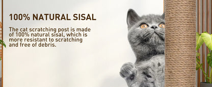 Cat Scratch Board Toy